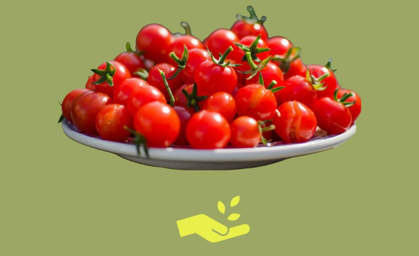 cherry tomatoes